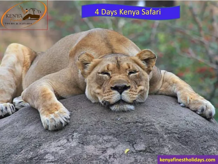 4 days kenya safari