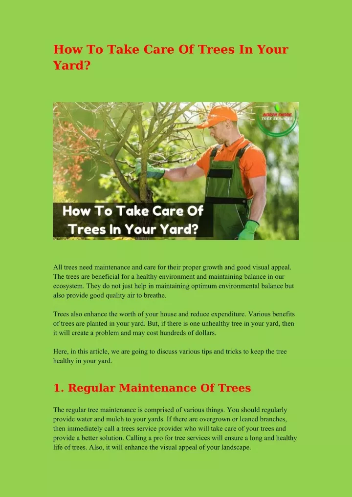 how to take care of trees in your yard