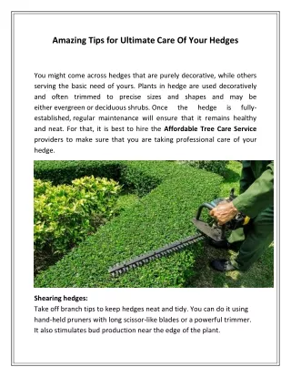 Amazing Tips for Ultimate Care Of Your Hedges