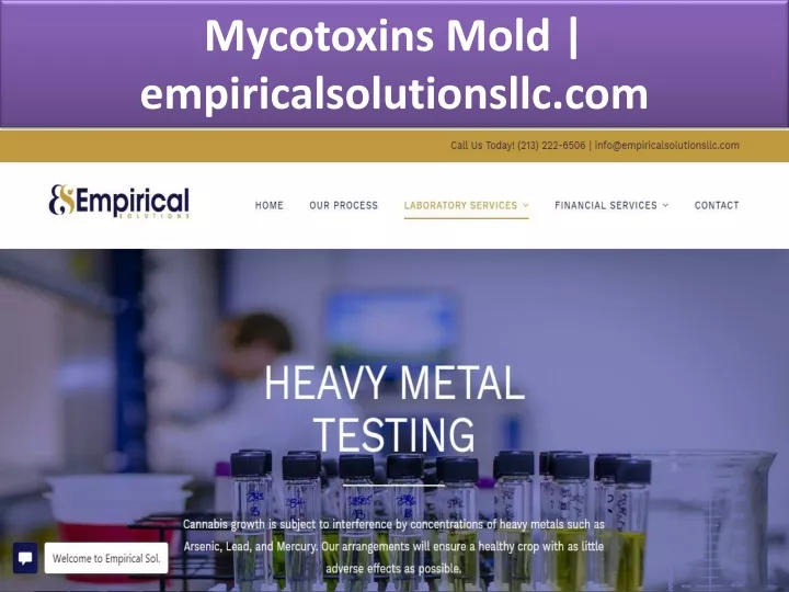 mycotoxins mold empiricalsolutionsllc com