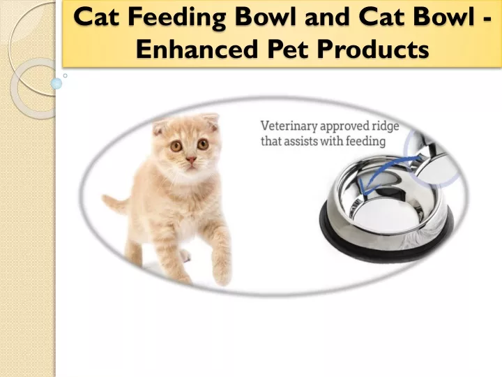 cat feeding bowl and cat bowl enhanced pet products