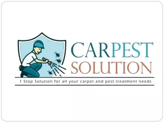 Carpet Cleaning Brisbane – Carpest Solution