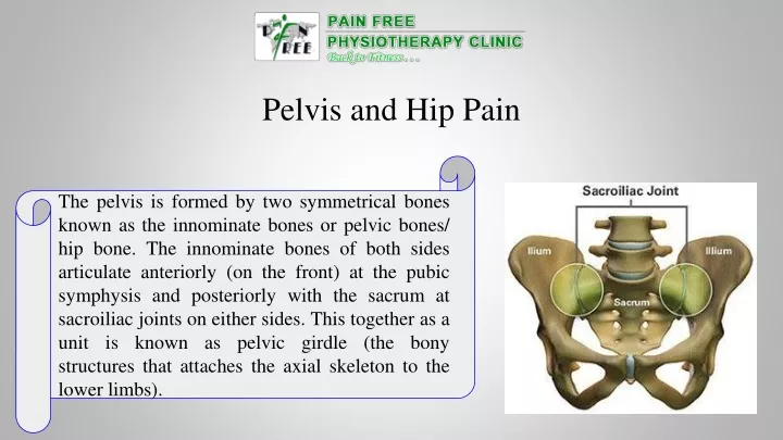 pelvis and hip pain