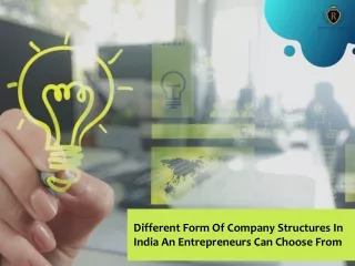 Different Form Of Company Structures In India - An Entrepreneurs Can Choose From