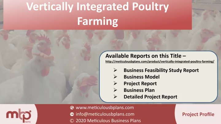 vertically integrated poultry farming