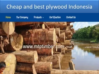 Cheap and best plywood Indonesia