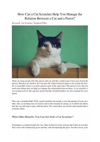 how can a cat scratcher help you manage