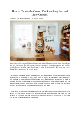 how to choose the correct cat scratching post
