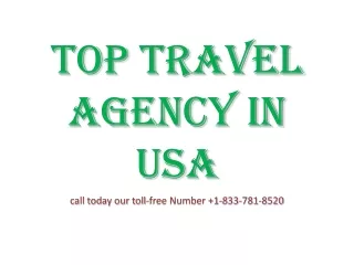 Top Travel agency in USA