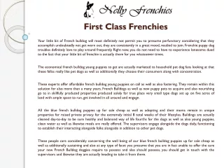 first class frenchies