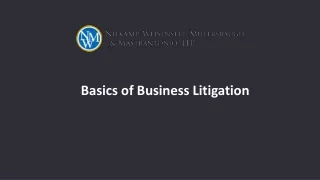 Basics of Business Litigation