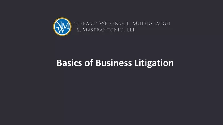 basics of business litigation