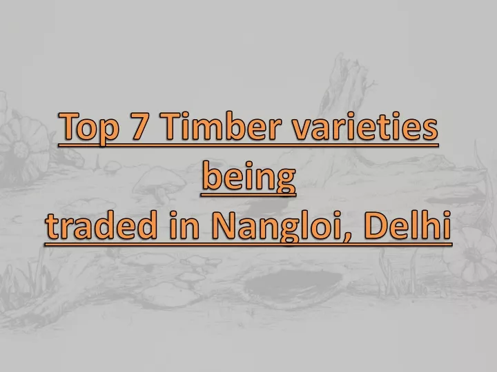 top 7 timber varieties being traded in nangloi delhi