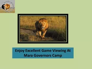 Enjoy Excellent Game Viewing At Mara Governors Camp