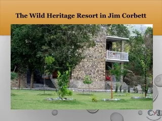 The Wild Heritage Resort in Jim Corbett | Best Resort in Jim Corbett