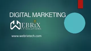 Digital Marketing Service in Rohtak