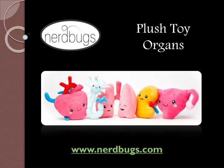 plush toy organs