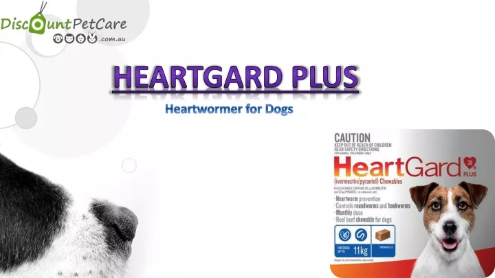 heartgard plus