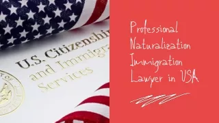 Professional Naturalization Immigration Lawyer in USA