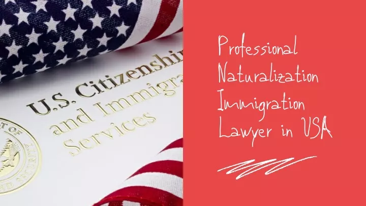 professional naturalization immigration lawyer
