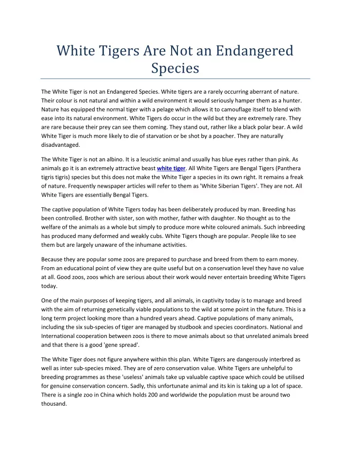 white tigers are not an endangered species