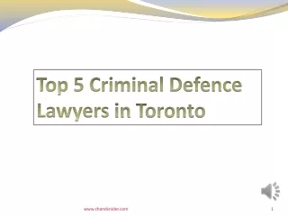 Top 5 Criminal Defence Lawyers in Toronto