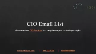 Get customized CIO Database that compliments your marketing strategies.