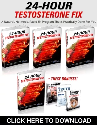 24-Hour Testosterone FIX PDF, eBook by Anthony Alayon
