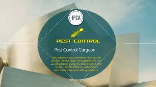 Best Pest Control in Gurgaon