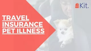 Pet Travel Insurance