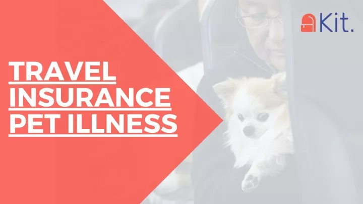 travel insurance pet illness