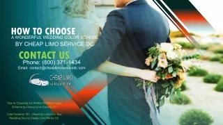 Choose a Wonderful Wedding Color Scheme by Cheap Limo Service DC