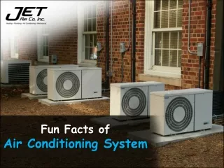 fun facts of