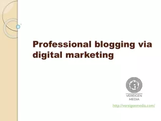 Professional blogging via digital marketing