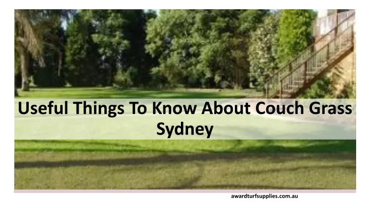 useful things to know about couch grass sydney
