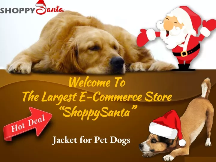 welcome to the largest e commerce store