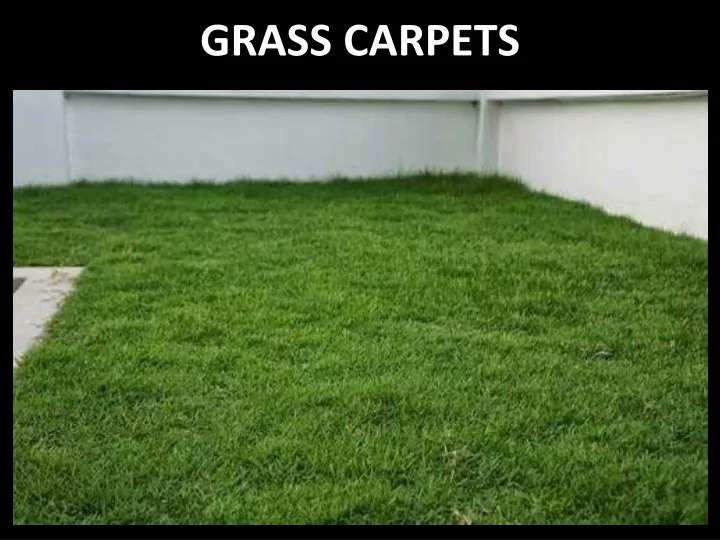 grass carpets