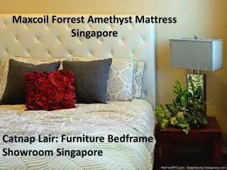 To Purchase Maxcoil Forrest Amethyst Mattress in Singapore