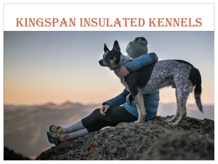 kingspan insulated kennels
