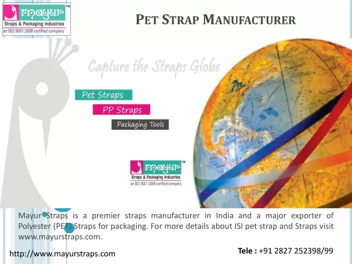 pet strap manufacturer