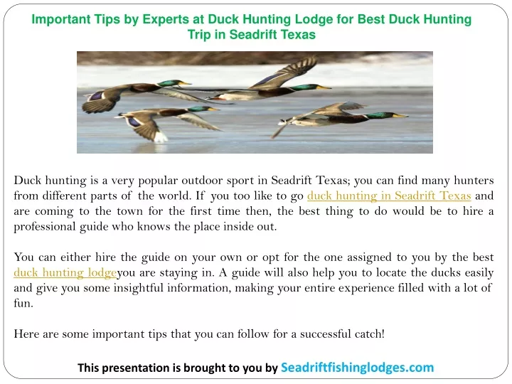 important tips by experts at duck hunting lodge