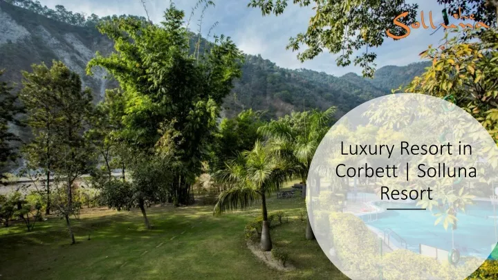 luxury resort in corbett solluna resort