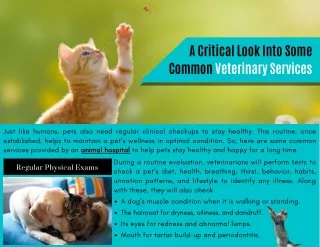 A Critical Look into Some Common Veterinary Services