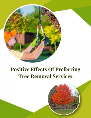 Positive Effects Of Preferring Tree Removal Services