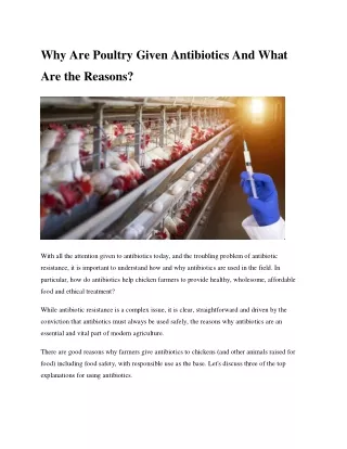 Why Are Poultry Given Antibiotics And What Are the Reasons?