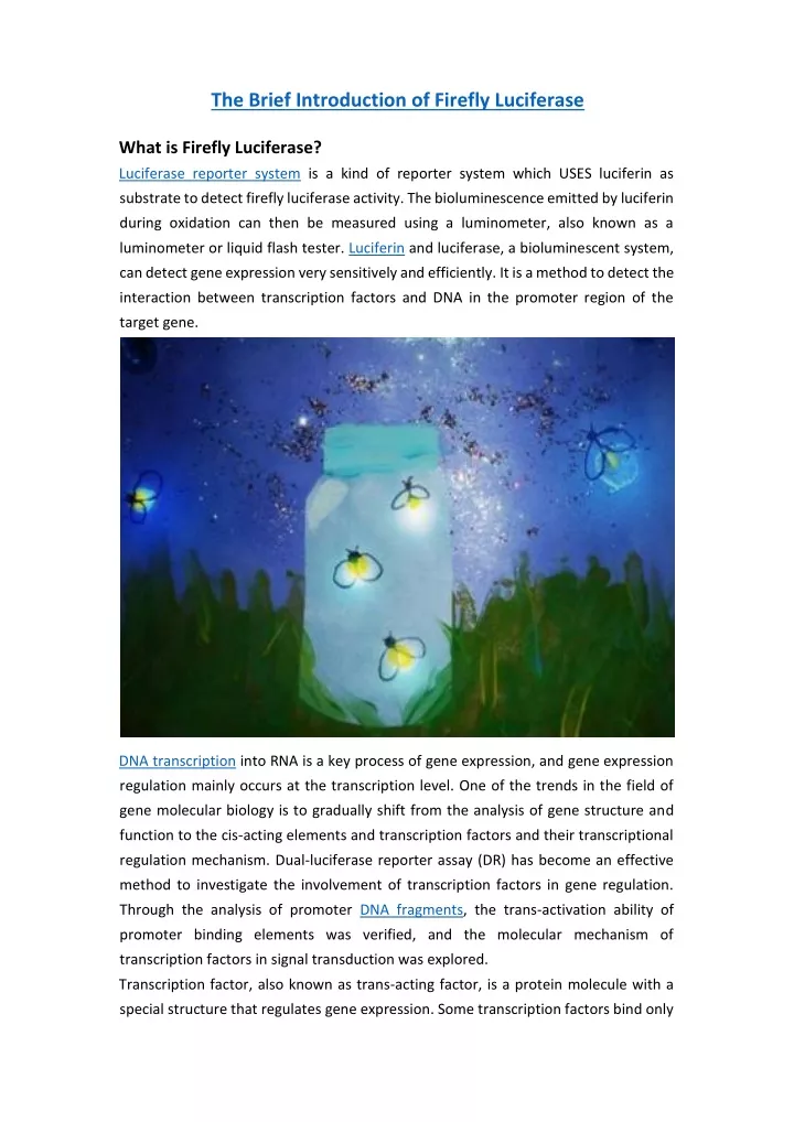 the brief introduction of firefly luciferase