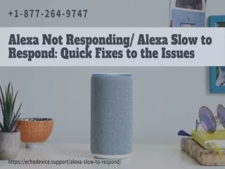 Alexa Not Responding | Alexa Slow to Respond –Call Alexa Helpline Number Now