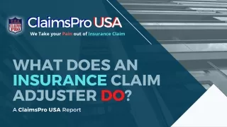 What does a public insurance claim adjuster do