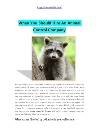 When You Should Hire An Animal Control Company
