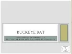 Buckeyebat-Custom wood bats || Best custom wood bats - slide 1